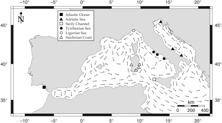 Representation of the main sea currents in the central and western Mediterranean Sea. Sampling sites symbols refer to the six assemblages identified by AMOVA.
