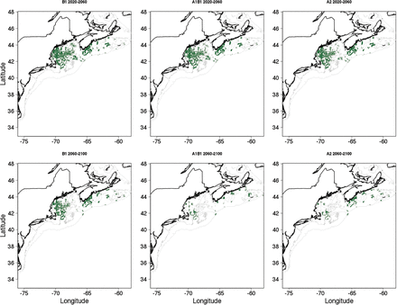 Binary maps of potential habitat for adult cusk based upon classified maps of statistical niche model projection using the projected future bottom temperatures derived from an ensemble of Atmospheric Ocean General Circulation Models.