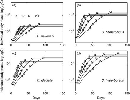 Prescribed (circles) and simulated (plus signs and lines) mass trajectories of individuals developing at non-limiting food concentration and 2, 6, 10, and 14°C. (a) Pseudocalanus newmani, (b) C. finmarchicus, (c) C. glacialis, and (d) C. hyperboreus.