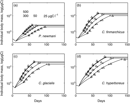 Prescribed (triangles) and simulated (plus signs and lines) mass trajectories of individuals developing at 6°C and 25, 50, 300, and 500 µgC l–1. (a) Pseudocalanus newmani, (b) C. finmarchicus, (c) C. glacialis, and (d) C. hyperboreus.