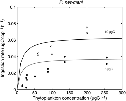 Observed and simulated ingestion rates of P. newmani according to carbon concentration. Open circles, data from Tsuda and Nemoto (1987); P. newmani females fed Prorocentrum triestinum at 4°C (Tsuda and Nemoto, 1990, concluded that the Pseudocalanus species used for their 1987 paper was P. newmani). Dots, data from Tsuda and Nemoto (1990); P. newmani females fed Phaeodactylum tricornutum at 4°C. Simulations were run at 4°C for two realistic body masses of females (5 and 10 µgC).
