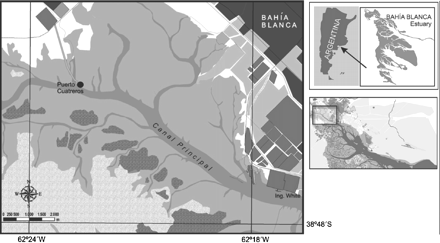 Map of the BBE, showing the locations of Bahía Blanca City, the port of Ingeniero White (Ing. White), and the sampling site, Puerto Cuatreros.