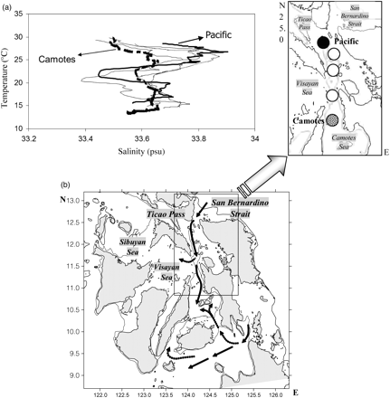 (a) Temperature–salinity diagram (station location to the right) of water between San Bernardino Strait and the Camotes Sea, and (b) the path of water movement into the central Philippines proposed by Campos et al. (2002).