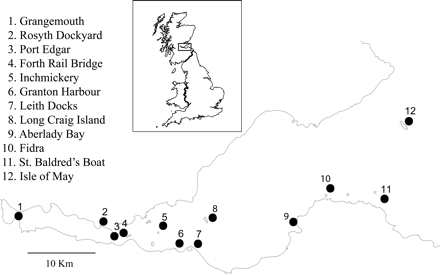 Map of the Firth of Forth, showing the locations of the 12 common tern colonies, numbered 1–12 from west to east.