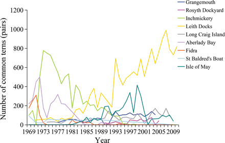 Numbers of breeding pairs of common terns each year from 1969 to 2010 at the nine largest colonies in the Firth of Forth [three further colonies (Granton, Port Edgar, and Forth Rail Bridge) that held on average fewer than ten pairs are not shown].