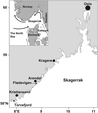 The Norwegian Skagerrak coast. Skagerrak has small tides with a marked stratified water column during most of the year. Arrows indicate the main surface circulation pattern.