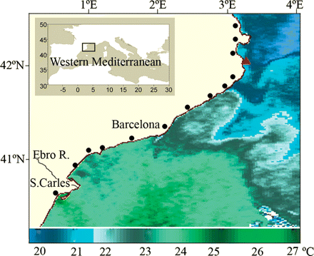 Study area. AVHRR/NOAA satellite image from 4 July 2004. The dots indicate the fishing ports located along the Catalan coast and the triangle L'Estartit meteorological station.