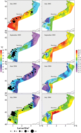 Surface temperature and P. saltatrix larval distribution and abundance (left) and surface salinity (right) during the oceanographic surveys conducted in 2003 (July and September) and 2004 (June and July).