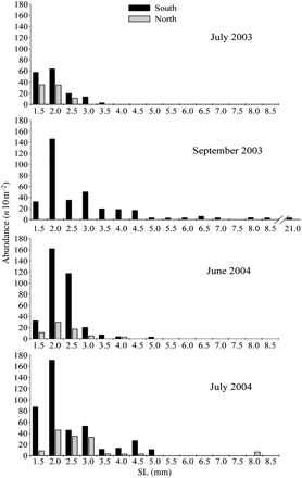 SL size frequency distributions of P. saltatrix larvae in the southern and the northern (north of Barcelona) study area during the oceanographic surveys conducted in 2003 (July and September) and 2004 (June and July).