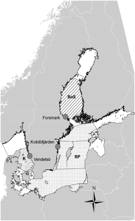 Location of areas for fish sampling in the Kattegat (K; Vendelsö), Baltic Proper (BP; Kvädöfjärden), and the Bothnian Sea (BoS; Forsmark).