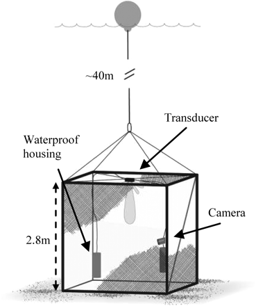 Schematic view of the sandeel cage. The transducer is mounted at the centre top of the cage, connected to two underwater housings for instruments and battery. The video camera is on the right-hand side of the cage.