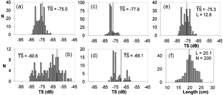 Sandeel target strength (TS) distributions with their mean values also shown on the histograms as vertical dark lines. (a) Experiment A, first 10 min after cage landing (A1), (b) experiment A, main experiment (A2), (c) experiment B, first 10 min after cage landing (B1), and (d) experiment B, main experiment (B2). (e) Sandeel TS measurements from experiment C. (f) Sandeel length distribution from trawl catches close to the deployment sites of experiments A and B. N is count/sample size, L is mean fish length in cm.