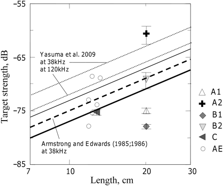 Sandeel mean TS measurements plotted against fish length in logarithmic scale. Points are mean values per dataset (with horizontal bars showing the 95% confidence intervals); lines are TS = 20logL + b20 least-squares regressions; AE and the dashed line are Armstrong and Edwards (1985) and Armstrong (1986) data at 38 kHz; A1, A2, B1, B2, and C, and the solid thick line (regression using all these data) are results from the present experiments; the solid thin line is the regression using the (A2, B2, C) data only; the dotted lines Y38 and Y120 are modelling results on A. personatus from Yasuma et al. (2009) for 38 and 120 kHz, respectively.