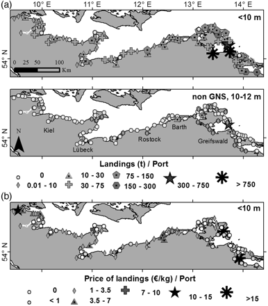 SSFs along German Baltic landing harbours (year 2008): (a) Distribution of total SSF landings (t)/landing harbour (segments ‘<10 m LoA’ and ‘static, non-gillnet, 10–12 m LoA’). (b) Price of landings (€/kg)/landing harbour (segment ‘ < 10 m LoA’).