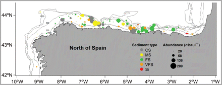 Mean abundance by haul of G. acutus in the study area. Each point represents a haul. Point size is proportional to the mean abundance in the haul during the study period, and colour represents the type of sediment present at each hauling site. Depth is also indicated. The sediment type codes are: CS, coarse sands; MS, medium sands; FS, fine sands; VFS, very fine sands; and Si, silt.