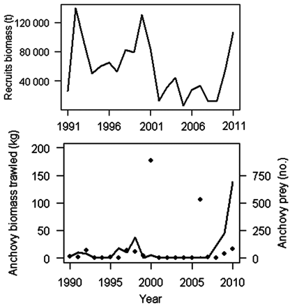 (a) Estimated abundance of anchovy recruits in the Bay of Biscay, and (b) abundance of anchovy juveniles in the Bay of Biscay estimated in biomass by demersal trawls (points) and number of anchovy juveniles found as part of the diet of demersal predators (solid line).