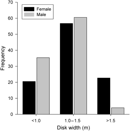 Size frequency distribution for D. brevicaudata males (n = 147) and females (n = 229).