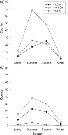 Seasonal abundance of D. brevicaudata by size class for (a) females and (b) males.