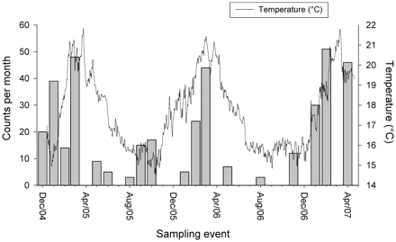Monthly D. brevicaudata counts and corresponding sea temperatures. Note: in none of the monthly surveys was D. brevicaudata absent, thus ‘0’ values correspond to months when surveys were not conducted.