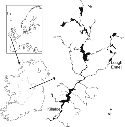 Silver eel sampling locations (Killaloe eel weir and Lough Ennell outlet) in the River Shannon catchment, Ireland.