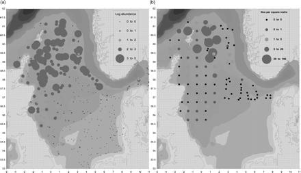 The distribution of Norway pout (Trisopterus esmarkii). (a) Adults (age 2 + ) and (b)stage I eggs in the northern North Sea in January/March 2009. The size of the dot reflects the abundance on a logarithmic scale. Smallest (black) dots represent a complete absence. Depth contours are shaded.