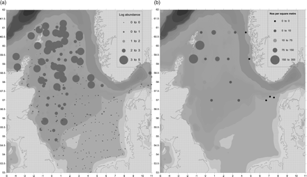 The distribution of Norway pout (Trispoterus esmarkii). (a) Adults (age 2 + ) in January/March 2010 and (b) larvae in April/May 2010 in the northern North Sea. The size of the dot reflects the abundance on a logarithmic scale. Smallest (black) dots represent a complete absence. Depth contours are shaded.