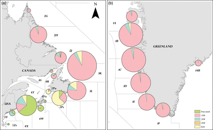 Geographic distribution of Carlin tag recoveries of US-origin Atlantic salmon by sea age (a) in US and Canadian waters and (b) at Greenland. The areas shown are NAFO Divisions, except at East Greenland where the area shown is ICES Statistical Area XIV. For scale, the smallest sample size (n= 2) came from NAFO Division 4T in the Gulf of St Lawrence and the largest sample size (n= 712) from NAFO Division 3K off Newfoundland.