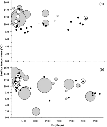 Catches of (a) Scomberesox saurus and (b) cephalopod species by station depth and surface temperature for 2008 and 2009 combined. Filled grey circles represent scaled catch weight per station, and open and black circles represent stations where Atlantic salmon were caught and not caught, respectively. Salmon symbols are not scaled to the weight of the salmon catch.