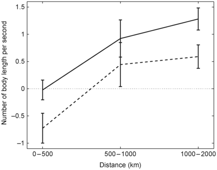 Averaged active swimming speeds for migrating post-smolts (body length s−1) with error bars within different ranges of migration distance. The migration distance is the distance along the defined migration path (Figure 1) between the release and recapture locations. The minimum (dashed line) and averaged (solid line) active swimming speeds were calculated by removing the maximum and the averaged modelled current speed, respectively, from the mean migration speeds along the migration path.