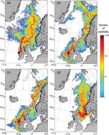 Concentration plots of the simulated migration of Atlantic salmon post-smolts (a) for the southern stock in 2008, (b) for the southern stock in 2002, (c) for the southern stock in 2002 with temperature and salinity preferences included in the model, and (d) for the northern stock in 2008.