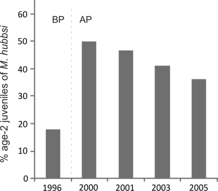 Percentage of age-2 juveniles of Merluccius hubbsi (Argentine hake) inside the MPA across years. Dotted line indicates before protection period (1996). BP =before protection, AP =after protection.