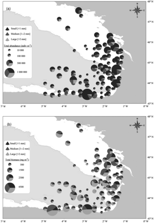 Zooplankton average abundance (a) and biomass (b) distribution by size range (small-medium-large) for the JUVENA 2008 (NJUV'08= 53 stations) and 2009 (NJUV'09=54 stations) sampling periods.
