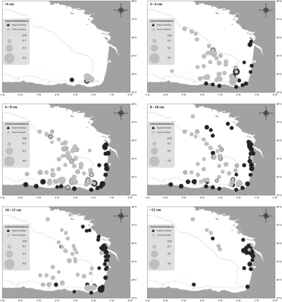 Spatial distribution of the residuals of the GLM in relation to anchovy juvenile size ranges (data range: JUVENA 2003–2010; N<4cm = 7; N4–6cm = 92; N6–8cm = 142; N8–10cm = 150; N10–12cm = 97; N>12cm = 45).