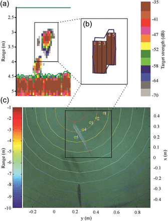 Screenshot of a filtered raw ping echogram (a), the single target detection (b), and the equivalent image on the AOS analysis software (c) for fish track 99 at station 23. Colours in (a) and (b) indicate target strength corresponding to the colour scale on the right. Data above the green line at 2.1 m (surface) and below the green line at 4.5 m (bottom) were excluded for single target detection. The image shows a SBW with a measured length of 33.1 cm and mean target strength of –30.6 dB at a range of 2.9 m. Coloured circles (note that this image was cropped) indicate the acoustic beam width where colours correspond to the range colour bar. The numbered (1–5) bars in (b) and circles in (c) represent the five single targets detected for this fish track.