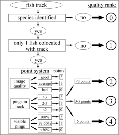 Flowchart showing how optical quality of fish tracks was assigned. Only tracks with quality ranks of 3 or 4 were accepted as being “optically verified”.