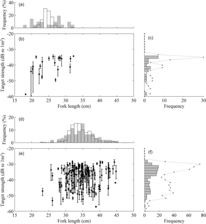 Optically verified SBW TS as function of fork length, along with histograms of fish length and TS. Data in (a) to (c) are from immature SBW (trawl 15), and in (d) to (f) are from adult SBW (trawls 18, 20, and 23). Length histograms (a and d) compare percentile frequency of fish length estimates from pixel counts (grey bars) with measured FL from the catch (transparent bars). TS histograms (c and f) show the mean TS for each track, whereas lines represent samples from individual echoes within accepted tracks.