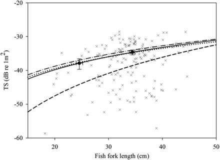 Comparison of different TS–length relationships for blue whiting. Filled circles show mean optically verified TS for immature and adult SBW from this paper (with 95% confidence intervals). The solid line shows our new “optically verified” SBW relationship of TS = 22.06 log10(FL) – 68.54. The dotted line is the fit to our data when the slope is fixed at 20. The dashed line shows the previous SBW relationship based on swimbladder modelling (Dunford and Macaulay, 2006). The dashed-dotted line is the in situ relationship for northern blue whiting (Pedersen et al., 2011). Crosses show the mean TS for individual fish tracks plotted as a function of optically estimated fish length.