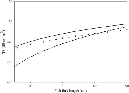 Comparison of TS estimates for SBW derived from prolate-spheroid-modal-series (PSMS) swimbladder models (crosses) with the relationship based on swimbladder modelling using the Kirchoff-approximation model (dashed line) and our new “optically verified” relationship (solid line). The best fit through the PSMS model results is TS = 18.2 log10(FL) – 64.9.