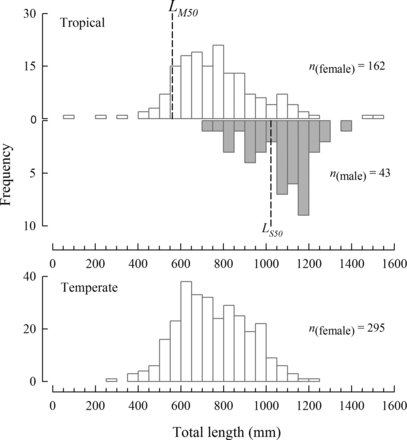 Length-frequency histograms for females (white bars) and males (grey bars) of Hyporthodus octofasciatus from the tropical region (above) and females only from the temperate region (below) of Western Australia (sample sizes shown, n). The dashed lines represent the corresponding lengths at 50% maturity for females (560 mm, LM50, see Figure 7) and sex change to males (1022 mm, LS50, see Figure 8) for the tropical region.