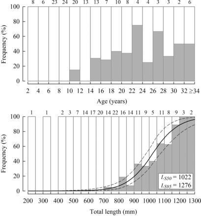 Percentage-frequency of female (white bars) and male (grey bars) Hyporthodus octofasciatus in two-year age-class categories (above) and sequential 50-mm length classes (<1300 mm LT, below) from the tropical region of Western Australia (sample sizes noted above histograms). The logistic curve (solid line) and its 95% CI (dashed lines) represent the expected percentage of males at corresponding lengths.