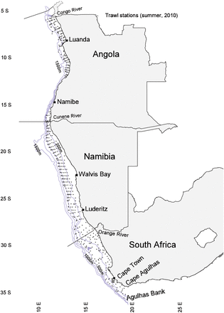 Locator map of the study area, with the trawl stations (points) conducted during summer of 2010 used to display the typical distribution of sampling per year of study.