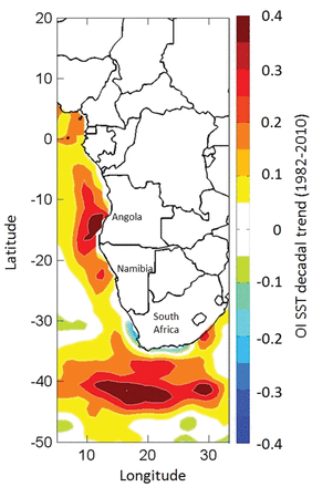 Map showing the decadal trend in SST in the study area over the period 1982–2010 (Mathieu Rouault, pers. comm.).