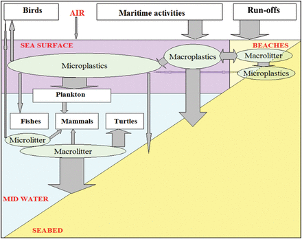 A schematic cycle of litter at sea.