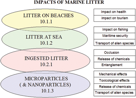Major impacts of marine litter and related MSFD indicators. Other impacts such as entanglement in pelagic species, transport of alien species to beaches etc. could be important in specific cases.