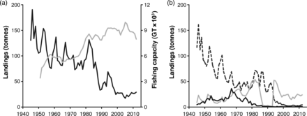 Annual fishery time-series in Chioggia. (a) Total elasmobranch landings at the fish market of Chioggia, 1945–2012 (black line, left axis), and fishing capacity (GT × 103) of the Chioggia fishing fleet, 1951–2012 (grey line, right axis). (b) Landings of the three categories comprising the elasmobranch landings in 1945–2012: skates (dashed black line), catsharks (continuous black line), sharks (continuous grey line).