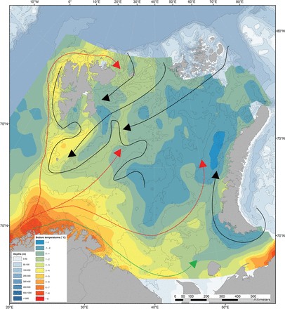 Topography and distribution of near-bottom water temperatures in the Barents Sea obtained averaged over the period 2000–2010 and obtained from vertical casts made with a Seabird CTD. The oceanographic “Polar Front” (adapted from Loeng, 1991) is indicated with a black line. The arrows indicate currents of different waters masses: coastal (green), Atlantic (red) and Arctic (blue).