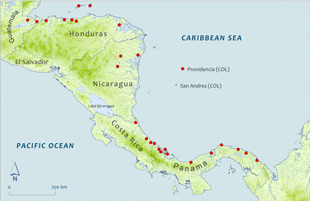 Sub Map 2: Capture/collection locations for selected specimens reported from Central America. Map shape files downloaded from DIVA-GIS.