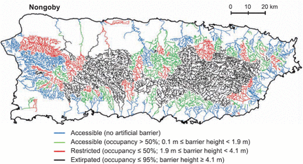Accessible, restricted, and extirpated river reaches in Puerto Rico for native diadromous non-goby fish, including the American eel, by artificial in-stream barriers. From Cooney and Kwak (2013) with permission.