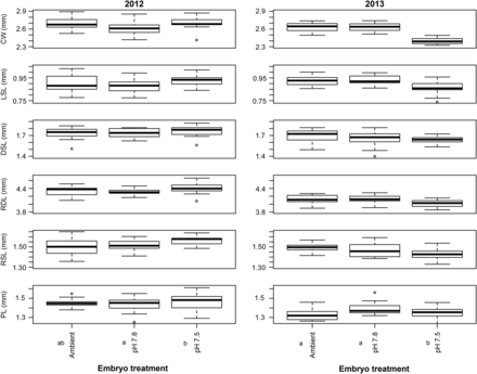 Box-plots of measurements made on larvae in the 2012 and 2013 experiment. Ambient, pH 7.8, and pH 7.5 represent the treatment embryos were reared at. Measurements included CW—carapace width, LSL—lateral spine length, DSL—dorsal spine length, RDL—rostro-dorsal length, RSL—rostral spine length, and PL—protopodite length. Statistical differences within each year are indicated with different letters next to the treatments.
