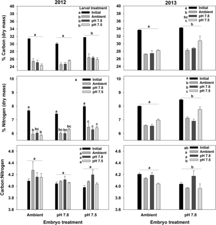 Effects of exposure to acidified water at the embryo and larval stages on carbon (C) and nitrogen (N) content and the C:N ratio in Tanner crab larvae. Bars are the mean + 1 standard error. For the larval treatments, Initial represents C, N, or C:N of the larvae immediately after hatching and Ambient, pH 7.8, and pH 7.5 represent the treatment larvae we held in for 7 d. Statistically significant differences (Tukey's test) among embryo treatments are indicated with letters over groups of bars; differences among Larval treatments are indicated with letters next to the legend. Where there was an interactive effect, difference is indicated with letters over each bar. Results for the 2012 experiments are in the left-side plots and those for the 2013 experiments are on the right-side plots.